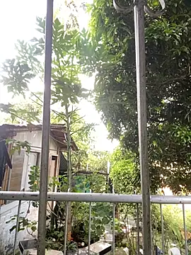 Snapshot of Jestebanano chatting on September 2025 12:00:01 PM Jestebanano online show from September 2025 12:00:01 PM