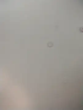 Snapshot of geilerschwanz64 chatting on December 2025 09:10:01 AM geilerschwanz64 online show from December 2025 09:10:01 AM