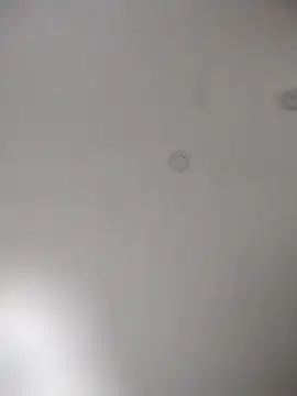 Snapshot of geilerschwanz64 chatting on October 2025 11:34:01 PM geilerschwanz64 online show from October 2025 11:34:01 PM