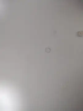 Snapshot of geilerschwanz64 chatting on October 2025 07:07:01 AM geilerschwanz64 online show from October 2025 07:07:01 AM