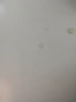 Snapshot of geilerschwanz64 chatting on November 2025 10:02:01 PM geilerschwanz64 online show from November 2025 10:02:01 PM