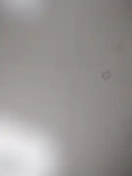 Snapshot of geilerschwanz64 chatting on October 2025 08:20:01 PM geilerschwanz64 online show from October 2025 08:20:01 PM