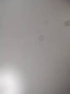 Snapshot of geilerschwanz64 chatting on October 2025 09:30:02 AM geilerschwanz64 online show from October 2025 09:30:02 AM