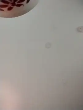 Snapshot of geilerschwanz64 chatting on November 2025 01:53:01 AM geilerschwanz64 online show from November 2025 01:53:01 AM