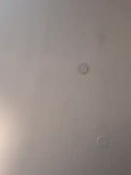 geilerschwanz64 online show from March 2025 03:55:02 PM