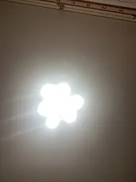 Janet Welder online show from May 2026 03:47:01 PM