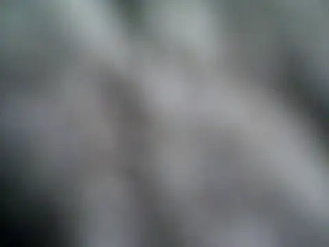 rootsf online show from November 2025 03:23:02 AM