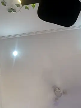 Archi-07 online show from October 2025 08:13:01 AM