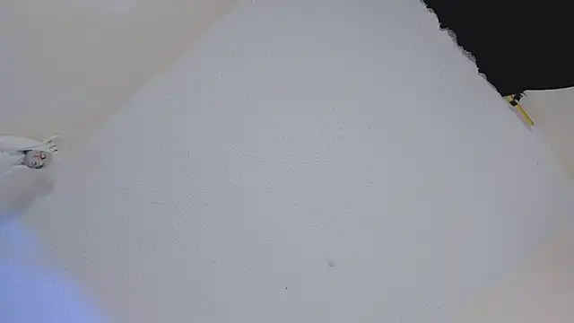 missycanoo online show from October 2025 12:43:01 AM