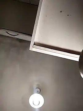 Bellatriz-horse online show from February 2026 05:27:02 AM