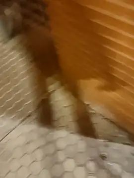 Satiro Sevilla online show from February 2025 07:33:02 PM