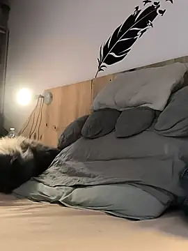 bogland33 online show from January 2026 07:43:02 PM