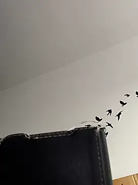 bogland33 online show from March 2026 08:00:02 AM