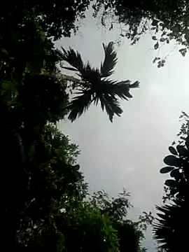 Snapshot of kumaricapalsex2 chatting on January 2025 05:34:01 AM kumaricapalsex2 online show from January 2025 05:34:01 AM