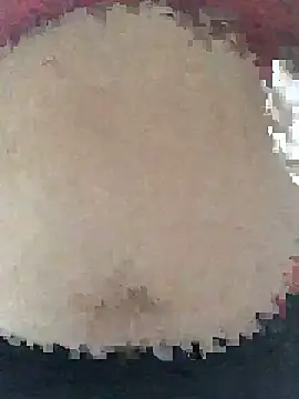 ahross online show from April 2026 09:33:01 AM