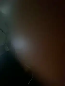 Snapshot of DINA-FOX chatting on January 2025 10:52:02 PM DINA-FOX online show from January 2025 10:52:02 PM