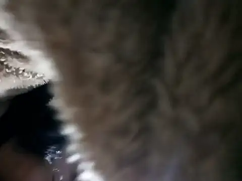 Elvishcassie  online show from January 2026 10:14:02 PM