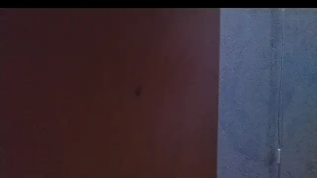 nextdoorneighbor online show from January 2025 12:30:02 PM
