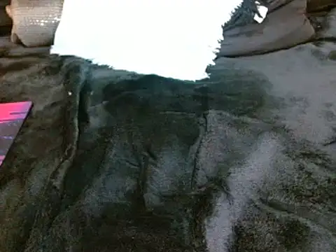 Snapshot of andreafiur chatting on January 2025 11:13:01 PM andreafiur online show from January 2025 11:13:01 PM