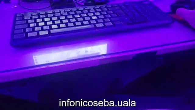 infonicoseba online show from February 2026 05:37:01 AM