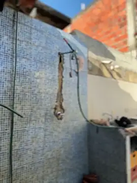 Snapshot of Leo_bunny_hot chatting on February 2026 08:58:01 PM Leo bunny hot online show from February 2026 08:58:01 PM