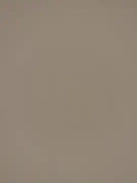 ADilil online show from March 2026 01:51:02 AM