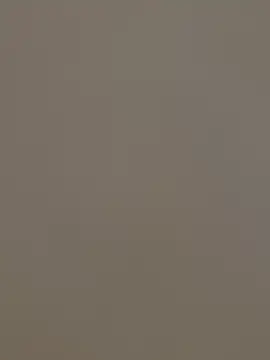 ADilil online show from January 2026 03:10:01 AM