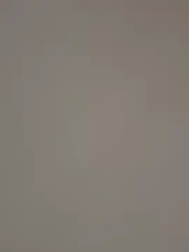 ADilil online show from January 2026 02:20:02 PM