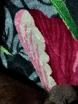 Kolkataboiy online show from October 2025 12:34:01 AM