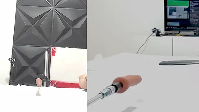 Lisa goals online show from February 2025 12:47:01 PM