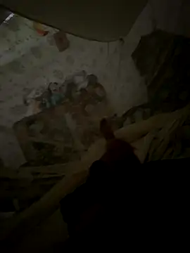 Snapshot of stevenp chatting on November 2025 04:29:02 PM stevenp online show from November 2025 04:29:02 PM