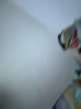 SweetBonniie online show from November 2025 12:05:01 AM