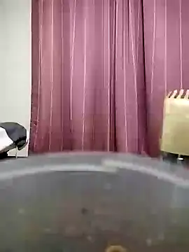 majak online show from December 2024 11:29:01 AM