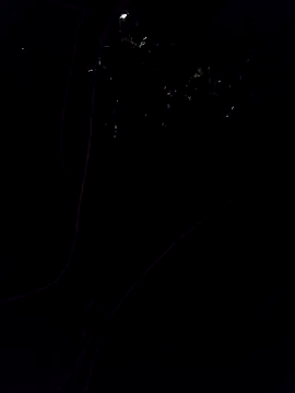 Snapshot of Raju4173 chatting on February 2025 07:12:02 PM Raju4173 online show from February 2025 07:12:02 PM