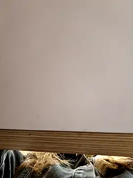 Snapshot of Alexvit2616 chatting on October 2025 09:17:01 AM Alexvit2616 online show from October 2025 09:17:01 AM