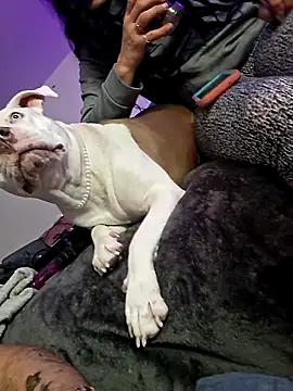 Snapshot of Jokergotherwett chatting on March 2026 08:10:02 AM Jokergotherwett online show from March 2026 08:10:02 AM