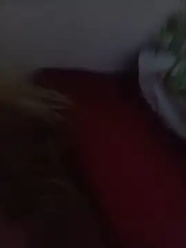 NatashaDormat online show from November 2025 02:11:02 AM