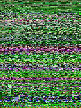 Curveysinaa online show from November 2025 05:44:01 AM