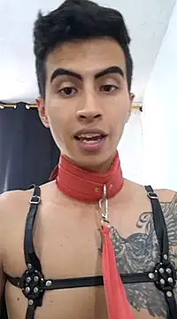 Velk hot online show from December 2024 08:11:02 PM