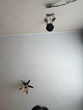 vulpe8400 online show from April 2026 09:00:01 AM