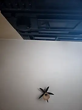 vulpe8400 online show from April 2026 10:11:02 PM