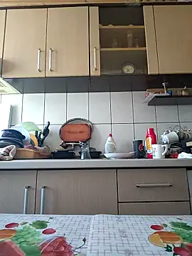 Snapshot of vulpe8400 chatting on February 2025 08:36:02 AM vulpe8400 online show from February 2025 08:36:02 AM