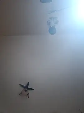 vulpe8400 online show from April 2026 10:33:02 PM