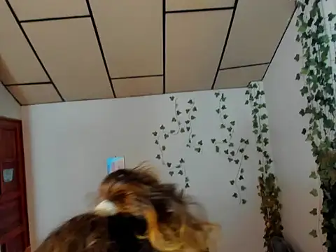 Snapshot of fulfill_fantasies1 chatting on February 2026 12:57:02 PM fulfill fantasies1 online show from February 2026 12:57:02 PM