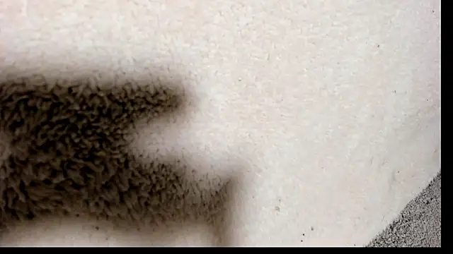 Brock hurn1 online show from September 2025 02:01:01 AM