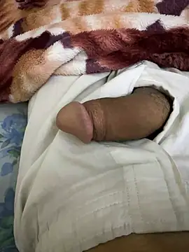 Snapshot of hamed-697 chatting on December 2024 08:02:01 AM hamed-697 online show from December 2024 08:02:01 AM