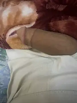 Snapshot of hamed-697 chatting on February 2025 06:44:02 AM hamed-697 online show from February 2025 06:44:02 AM