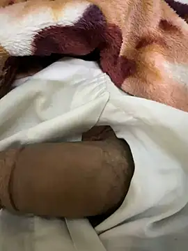 Snapshot of hamed-697 chatting on December 2024 11:24:01 PM hamed-697 online show from December 2024 11:24:01 PM