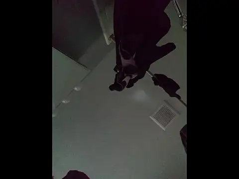 DevinToore online show from April 2026 12:50:01 AM