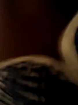 Crazybitchtheanalgoddess4 online show from March 2026 07:04:02 PM